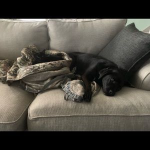 Meet your Posher, Nicole